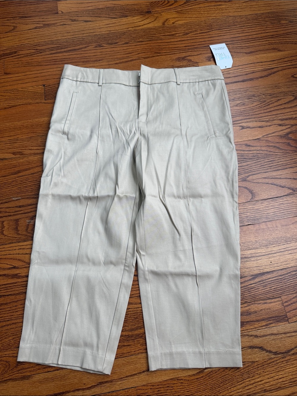 Time and Tru Men's Pleated Dress Pants in Light Beige